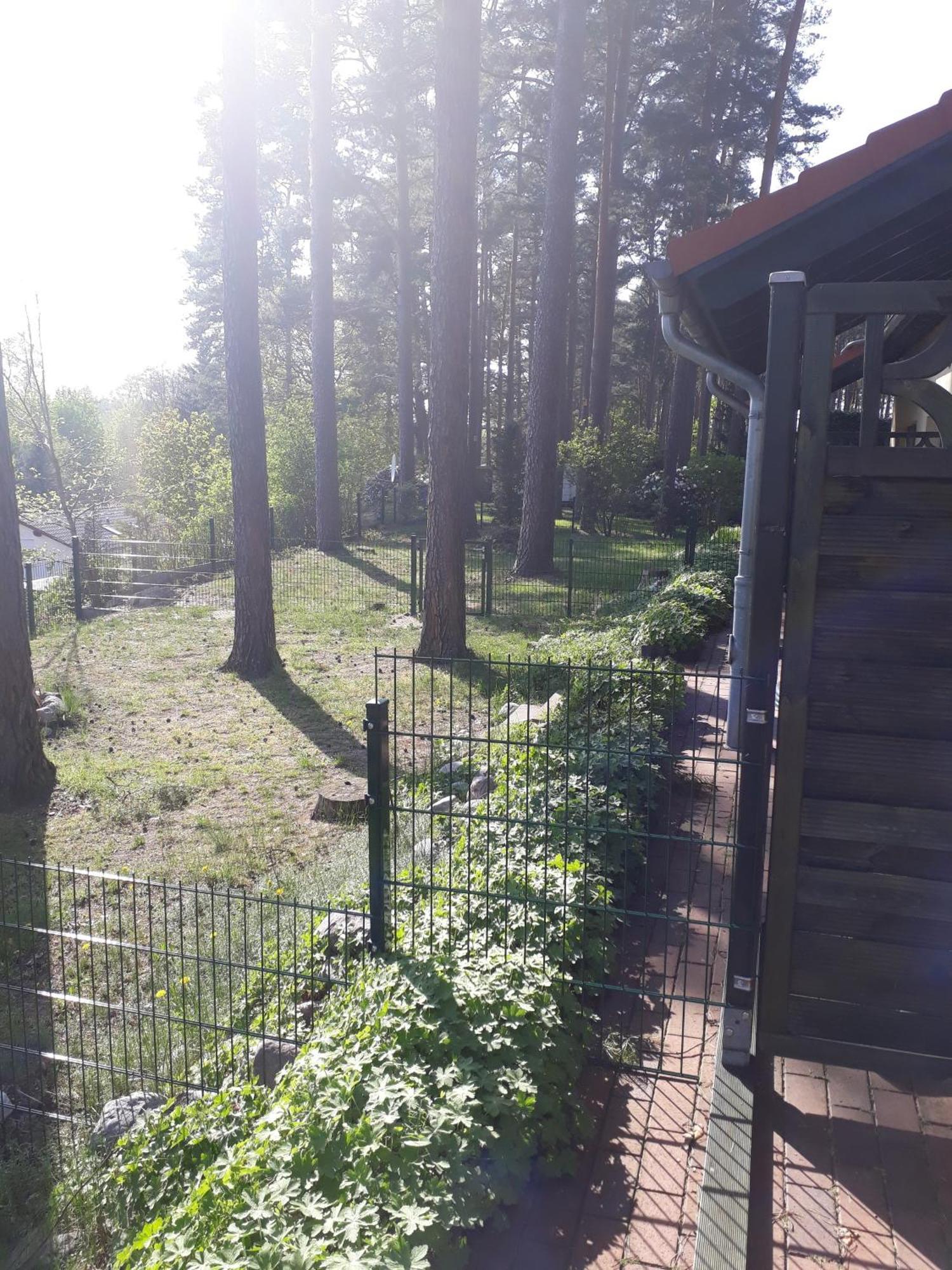Ferienhaus Waldschneise B Am Jabeler See Экстерьер фото